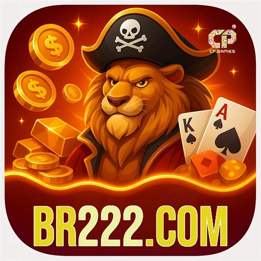 br222.com logo